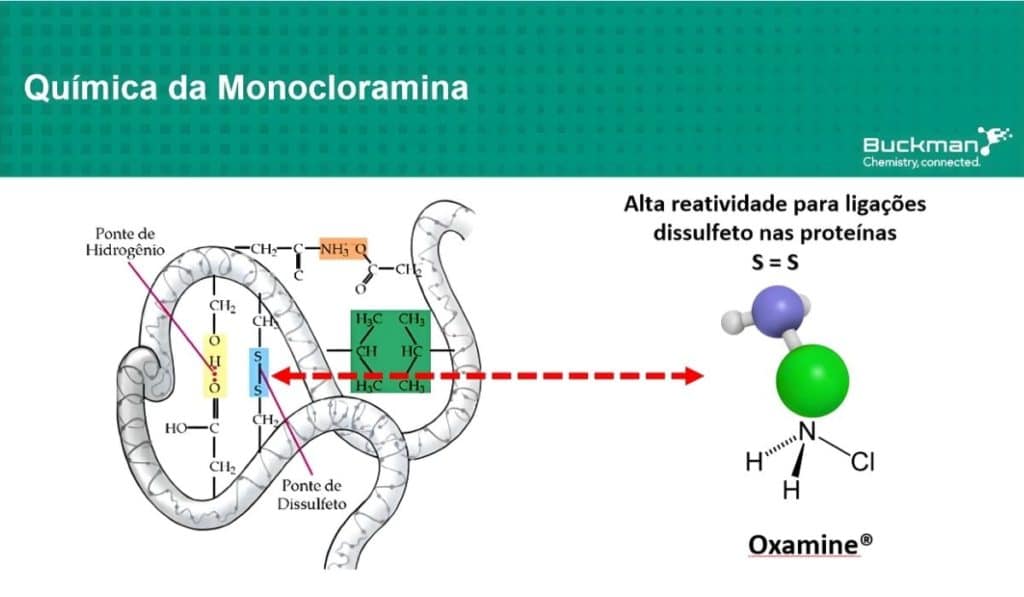 O que é de fato a monocloramina?