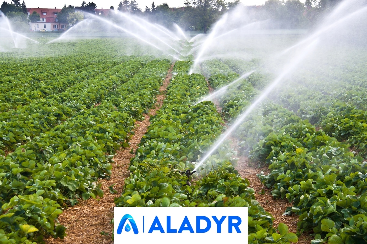 Adaptação hídrica na agricultura latino-americana através da Dessalinização e Reutilização