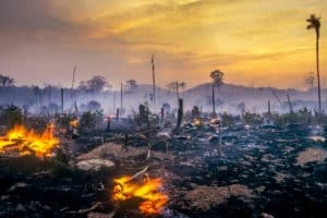 Amazônia tem alta de 286% nos focos de queimadas em fevereiro