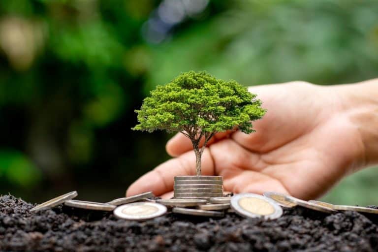 Bioeconomia ajuda a frear impacto das mudanças climáticas