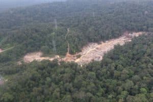 Garimpo ilegal na Amazônia devastou área equivalente a quatro campos de futebol por dia em 2023