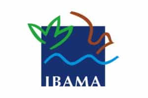 Servidores do Ibama rejeitam nova proposta do governo e atividades de campo continuam paralisadas