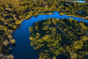 Impacto das mudanças climáticas na biodiversidade brasileira