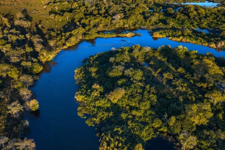 Impacto das mudanças climáticas na biodiversidade brasileira