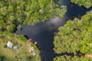 Amazônia receberá R$ 730 mi para combater fogo e desmatamento