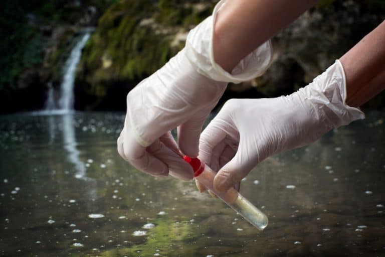 Estudo descreve estratégia para inativar bactérias multirresistentes