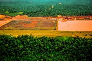 Em meio a desastre climático no RS, Senado vota projeto que reduz reserva legal na Amazônia