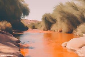 Aquecimento global deixa água de rios do Alasca laranja