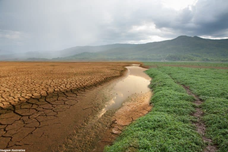 Dia Mundial do Meio Ambiente evento na USP debate crise climática e sustentabilidade