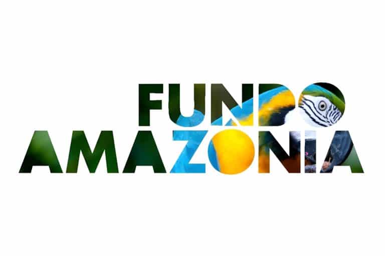 Em nova doação, Noruega repassa mais de R$ 270 mi ao Fundo Amazônia