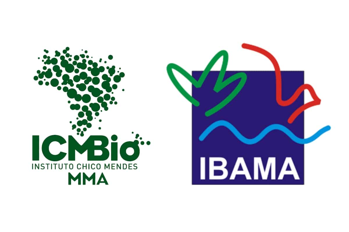 No Dia do Meio Ambiente, Marina Silva anuncia aumento de 18,6% no orçamento do MMA para órgãos como Ibama e ICMBio