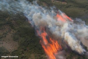 Pantanal registra maior número de focos de incêndio no primeiro semestre desde 1988