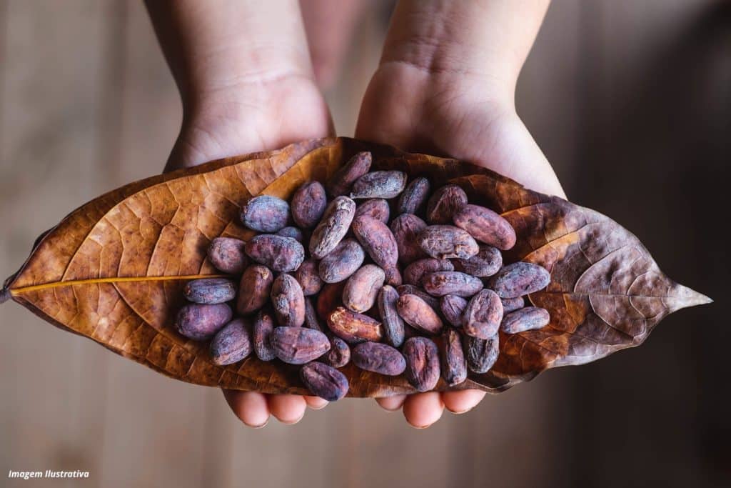 Processo otimiza extração de compostos bioativos de resíduos agrícolas para produtos cosméticos e alimentícios