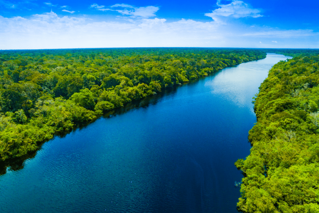 Amazônia Azul