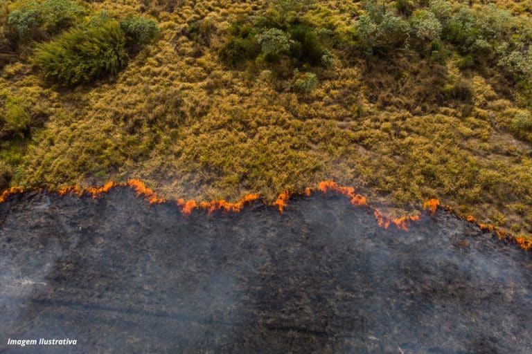 Devastado por incêndios, Pantanal pode ter crise hídrica histórica, diz relatório