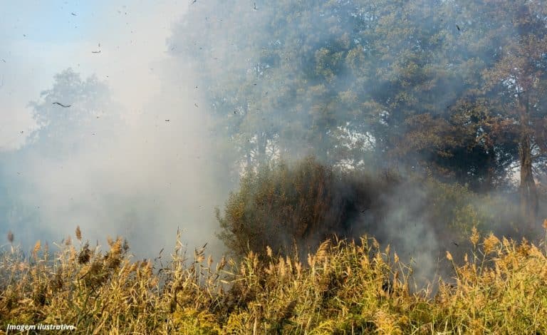 Estatuto do Pantanal pode ser votado nesta primeira semana de julho na Comissão do Meio Ambiente do Senado