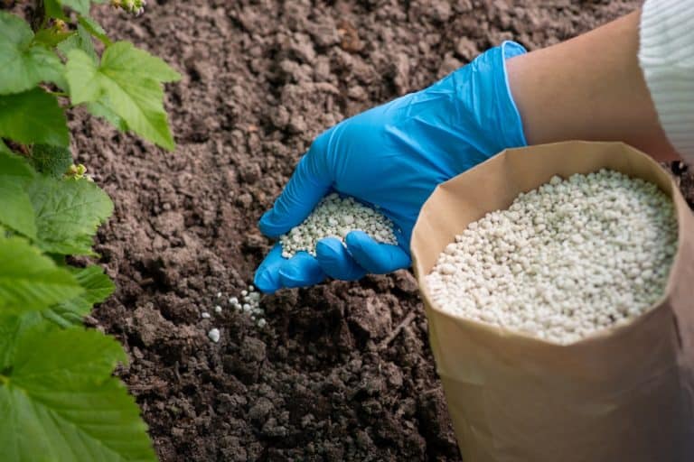 Fertilizantes Amônia Verde