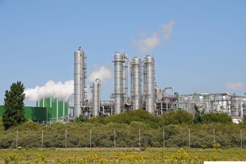 Na Inpasa, a próxima fronteira do etanol está no sorgo