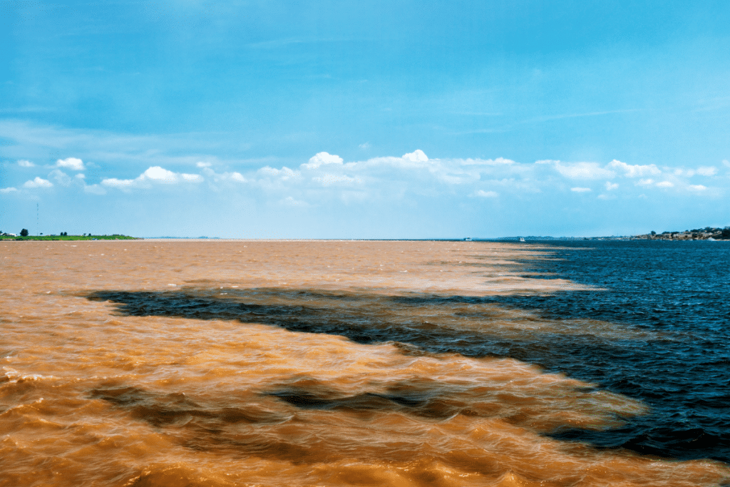 Seca histórica Rios Negro e Solimões alcançam mínima recorde na Amazônia