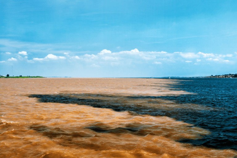 Seca histórica Rios Negro e Solimões alcançam mínima recorde na Amazônia