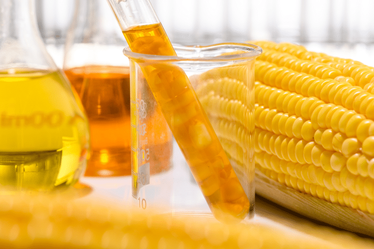 A liderança do Brasil na produção global de biocombustíveis
