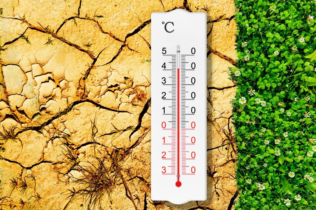 O relatório de 2024 da Lancet Countdown sobre saúde e mudanças climáticas: enfrentando ameaças recordes de ações atrasadas