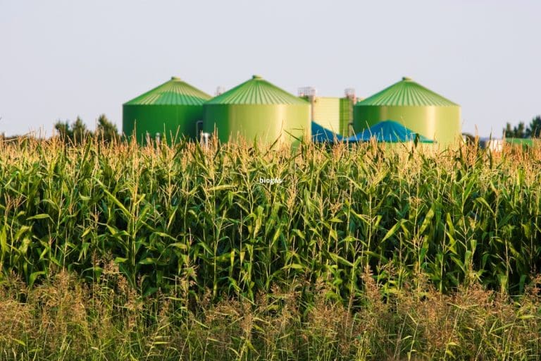 Goiás concede benefício fiscal para produção de biogás e biometano