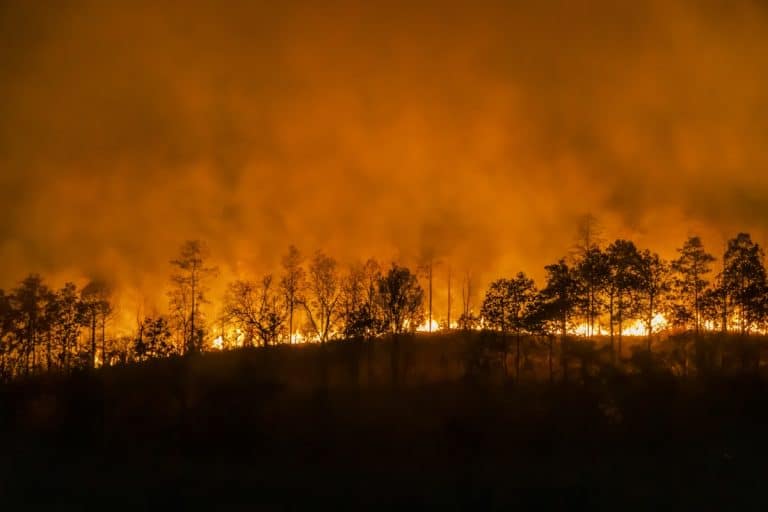 Desastres climáticos
