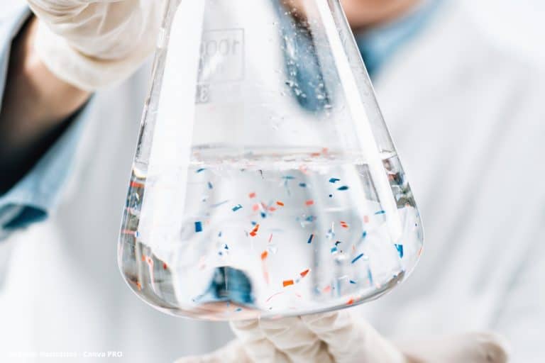 Microplásticos podem prejudicar fluxo de sangue no cérebro, descobrem cientistas