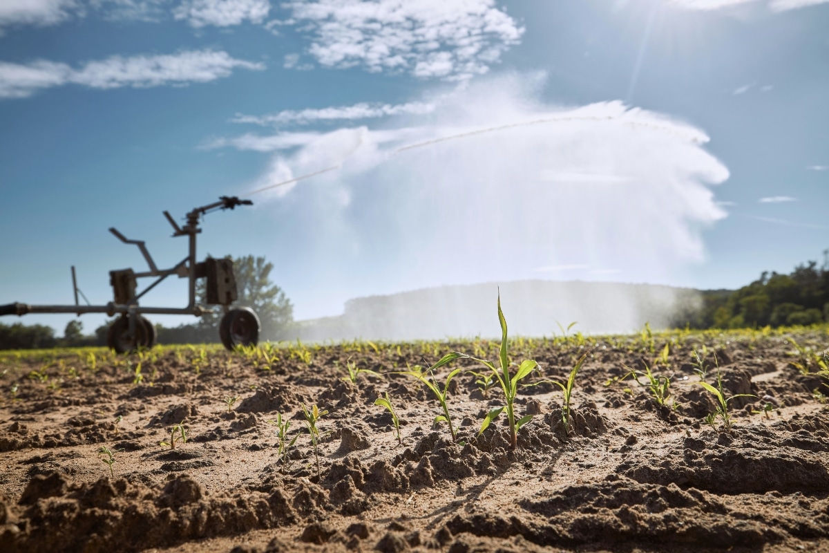 Secas no país fazem área irrigada crescer quase 15% em dois anos