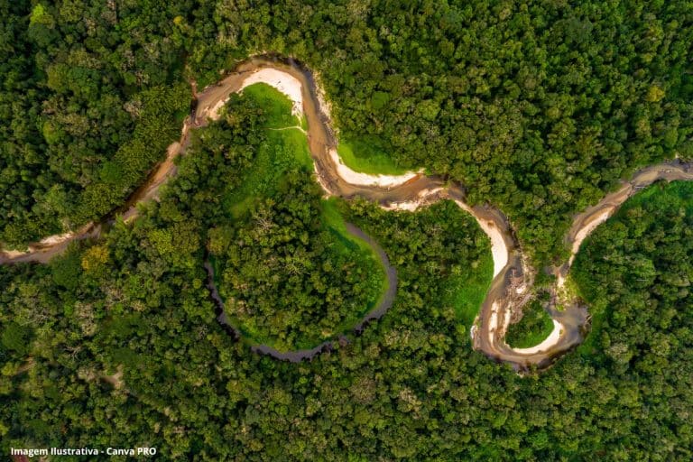Mais de 80% das áreas protegidas da Amazônia tiveram desmatamento zero