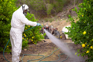 Liberação de agrotóxicos e defensivos bate recorde em 2024