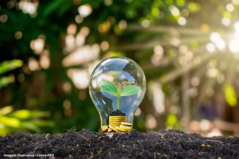 Bioinsumos e combustíveis do futuro fortalecem a transição energética