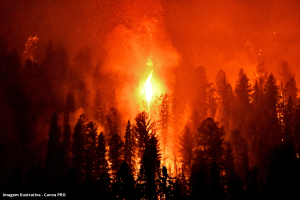 Brasil tem 1.819 focos de incêndio em fevereiro