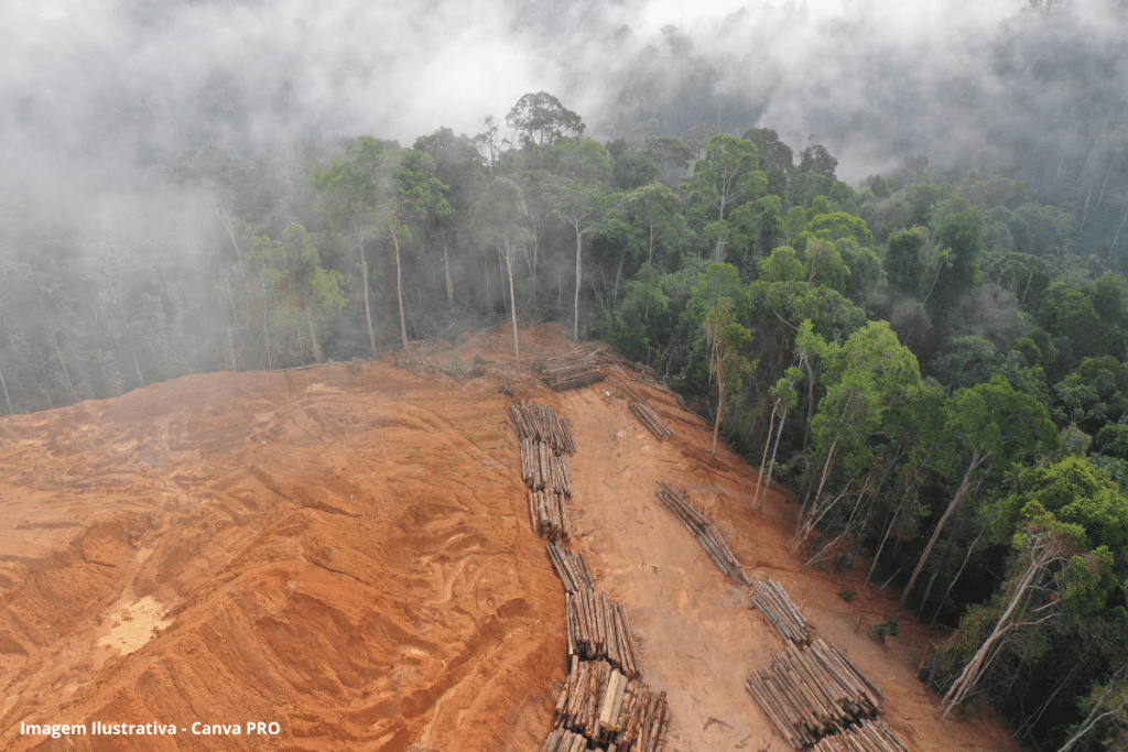 Amazônia tem baixo potencial agrícola em áreas desmatadas, diz estudo