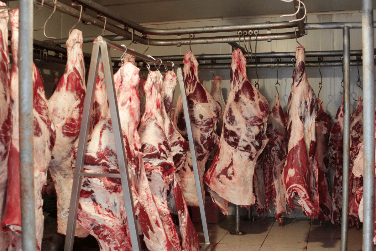 Avanço no tratamento de águas residuais do processamento de carne