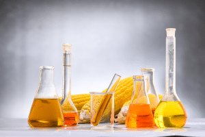 A ciência comprova produção de biocombustíveis e de alimentos crescem juntas