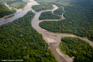Floresta Amazônica