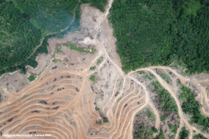 Alertas de desmatamento na Amazônia sobem 55% em abril e acendem sinal amarelo no governo
