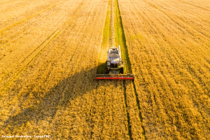 Brasil pode perder 18% do PIB até 2050 com impactos da mudança climática, aponta BCG