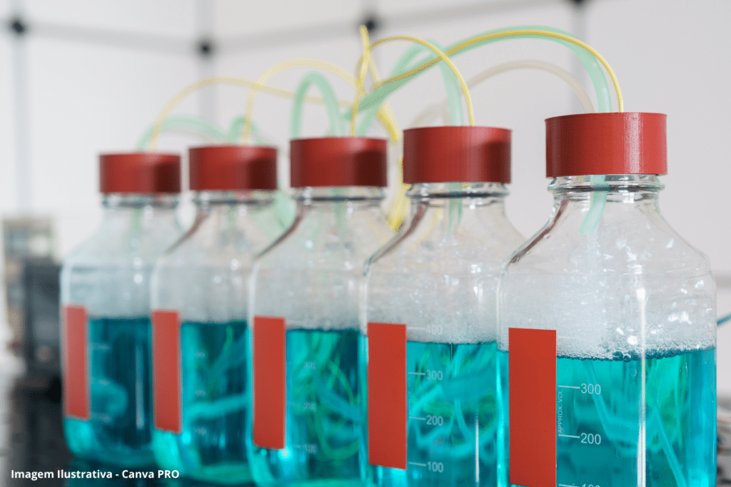 Ufal desenvolve tecnologia para transformar resíduos da cana em bio-hidrogênio