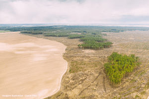 Alerta na floresta: desmatamento da Amazônia cresceu 18% entre agosto de 2024 e abril deste ano