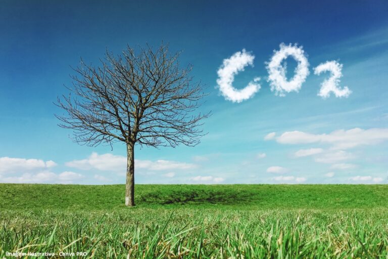 Brasil pode gerar 370 milhões de toneladas de créditos de carbono até 2030, calcula PwC