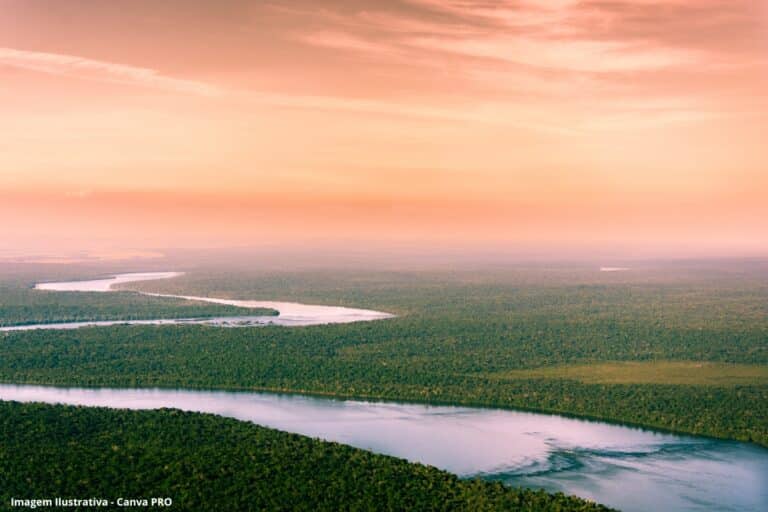 Crise da água seca rios brasileiros e reduz disponibilidade hídrica em até 40%, diz pesquisa