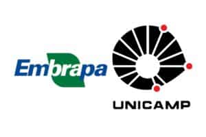 Novas tecnologias podem zerar pegada de carbono do etanol, apontam Embrapa e Unicamp