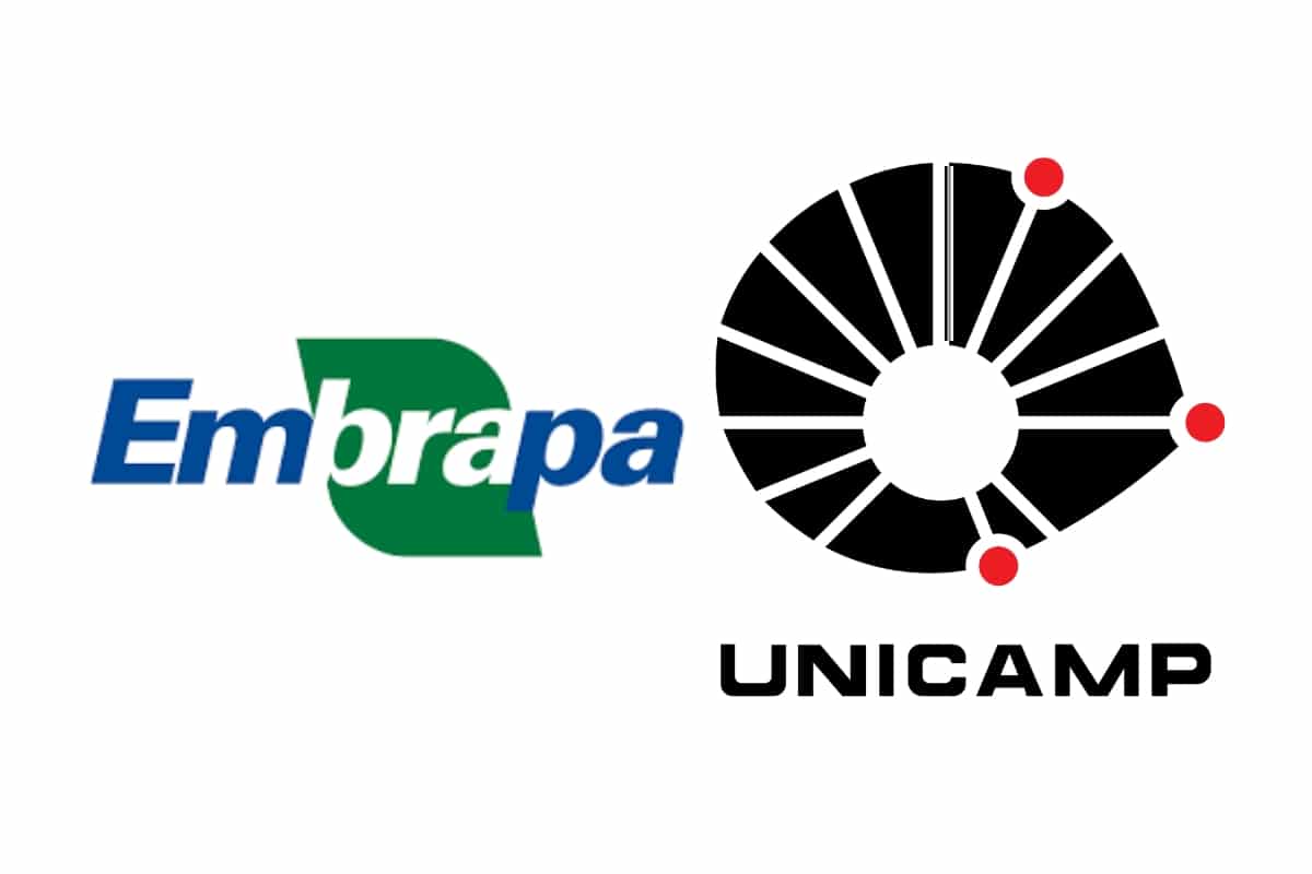 Novas tecnologias podem zerar pegada de carbono do etanol, apontam Embrapa e Unicamp