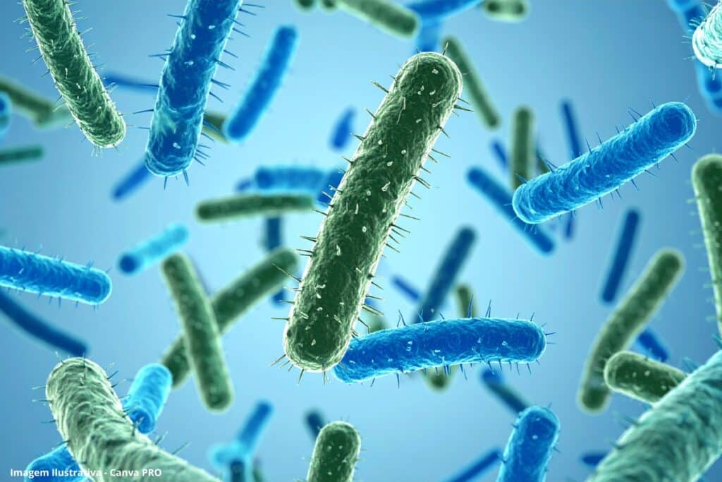 Estas pequenas criaturas ajudam a purificar a água. O que podemos aprender com elas?