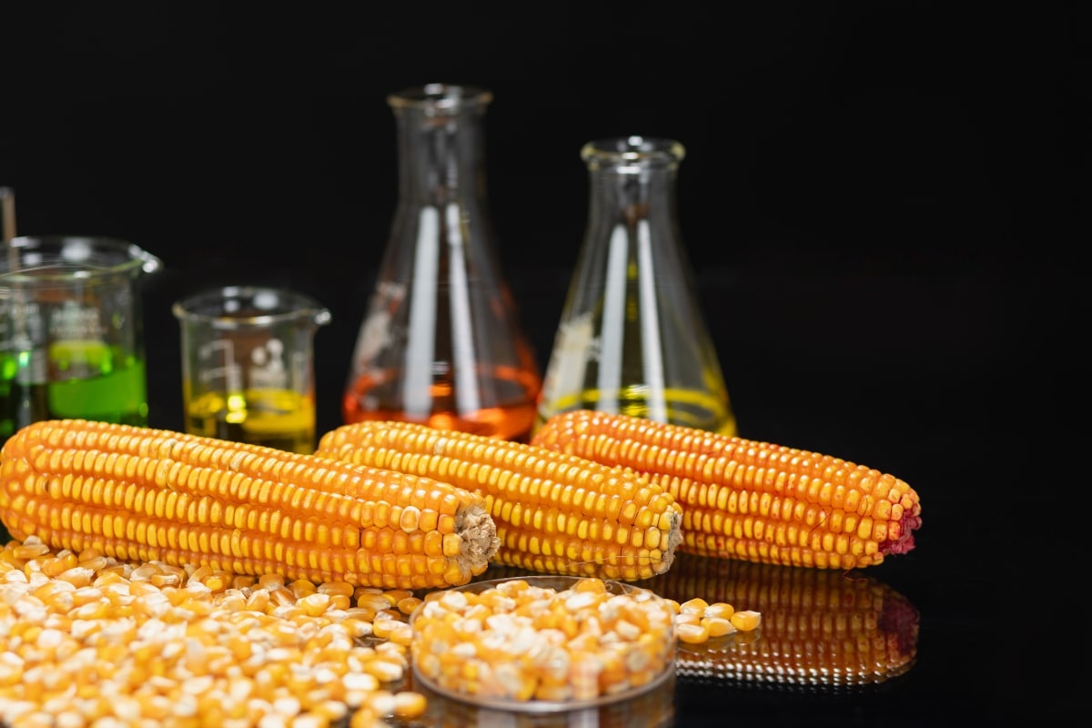 etanol milho