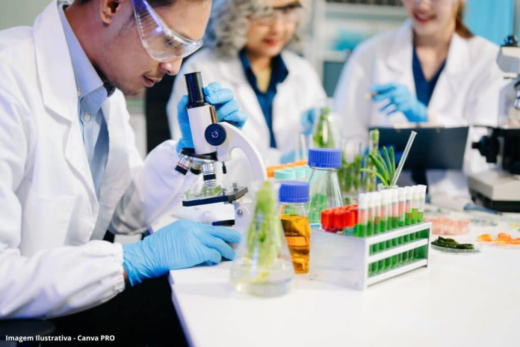 A adição química do sistema agroalimentar