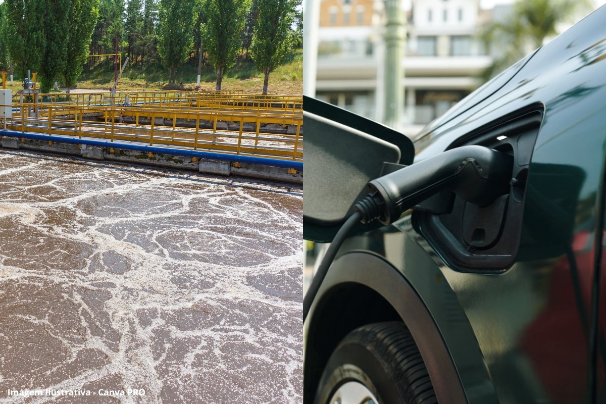 As baterias de lítio-enxofre para carros elétricos têm um problema; as fezes humanas podem ser a solução